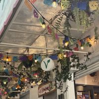 Cute patio/terrace  at La Pitahaya Vegana in Mexico City