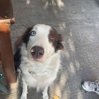 GRETA!  at La Pitahaya Vegana in Mexico City