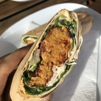 Harissa Falafel 🥙  at Habeez - Rüttenscheid in Essen