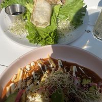 Delicious and filling meal at Vegamo Centro in Mexico City