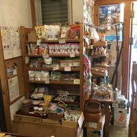 Inside the store. at Shizenkan in Osaka