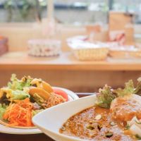 Curry with salad. at Babel Cafe in Osaka