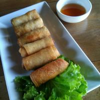 Spring roll at Vitking House II in Siem Reap