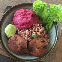 Falafel bowl  at Sister Srey Cafe in Siem Reap