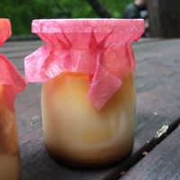 Amazing tofu pudding at Fushimiya in Osaka