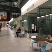 Mall location at Rabbits Cafe in Portland