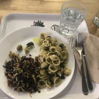 brunch/lunch at Canape Incontro in Bologna