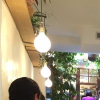 looking back from the center of the restaurant at Wild & The Moon - rue Charlot in Paris