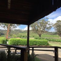 The view from the verandah.  at Love Kitchen in Pokolbin