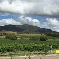 Overlooking the vineyards from the verandah.  at Love Kitchen in Pokolbin