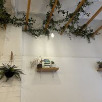 Inside look   at Almalibre Acai Bar in Valencia