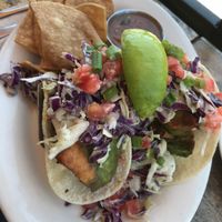 Avocado tacos  at No Bones Beach Club in Seattle