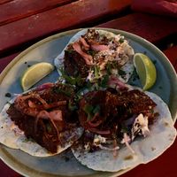 Pulled ‘pork’ tacos  at Hyde Park Book Club in Leeds