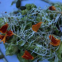 Another Course at Plant Food and Wine in Miami