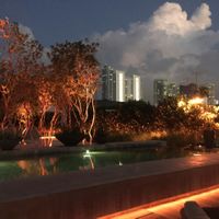 beautiful views at Plant Food and Wine in Miami