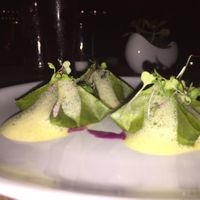 kimchi dumplings- highly recommend them! at Plant Food and Wine in Miami