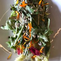 Sunflower Ceaser Salad at Plant Food and Wine in Miami