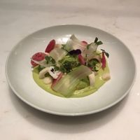 Appetizer  at Plant Food and Wine in Miami