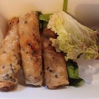 Vegan spring rolls at Tata Restaurant in Vienna