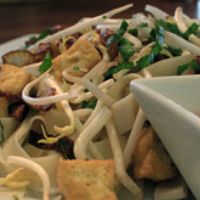 Tofu and Caramelized Onions at Vu Noodles in Charlottesville