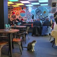 Inside at Cosy Lunch in Rouen