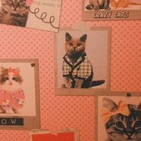 Cute bathroom wallpaper at Cosy Lunch in Rouen