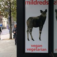 In front of restaurant at Mildreds - Kings Cross in North London