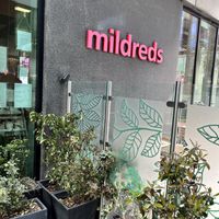 Outside   at Mildreds - Kings Cross in North London