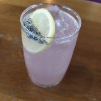  at Mildreds - Kings Cross in North London