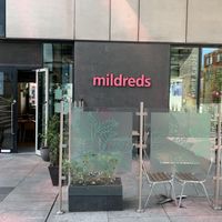   at Mildreds - Kings Cross in North London
