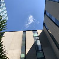   at Mildreds - Kings Cross in North London