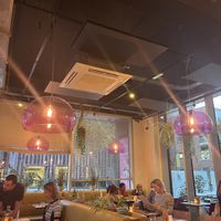   at Mildreds - Kings Cross in North London