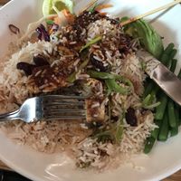 Jerk tofu at Mildreds - Kings Cross in North London