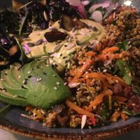 Soul Bowl at Mildreds - Kings Cross in North London