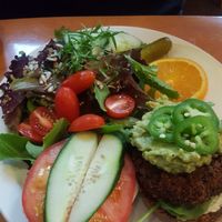 Black Bean Burger at Poyo & the Sprout in St Johns