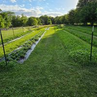  at LT Organic Farm Restaurant in Waukee