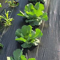  at LT Organic Farm Restaurant in Waukee