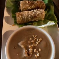Veeg spring rolls at Pho in Cambridge