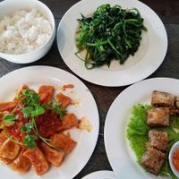 tofu in tomato sauce, spring rolls, morning glory, and steamed rice at Am Vegetarian & Hideaway in Hoi An