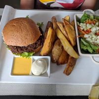 Quinoa burger- the aioli is delicious  at Seitan Urban Bistro in Lima