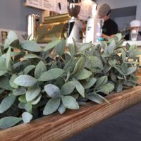 inside  at Sweet Life American Bakery and Specialty Coffee Bar in Krakow