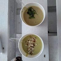 cream soups at Suppa Bar in Timisoara