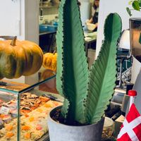 Lovely decor  at MADENITALY in Copenhagen