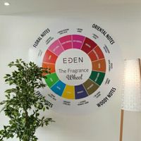 Find your fragrance at Eden Perfumes - Western Rd in Brighton