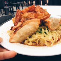 Dumpling noodles at Shi Song Vegetarian 实颂素食 in West Singapore