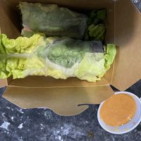 Spring rolls with peanut sauce  at Green Leaves in Los Angeles