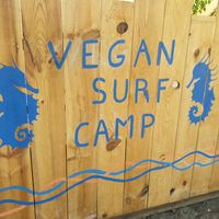 very nice place  at Vegan Surf Camp in Moliets