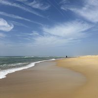   at Vegan Surf Camp in Moliets