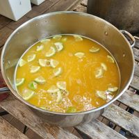  at Vegan Surf Camp in Moliets