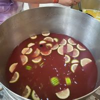  at Vegan Surf Camp in Moliets